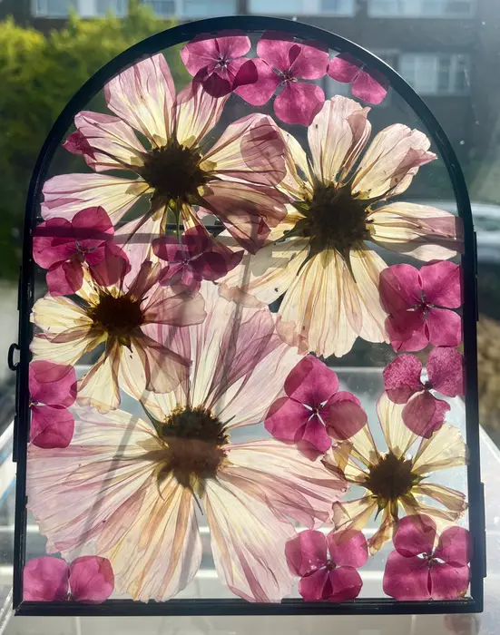 CBFF DB  B DECC Scaled