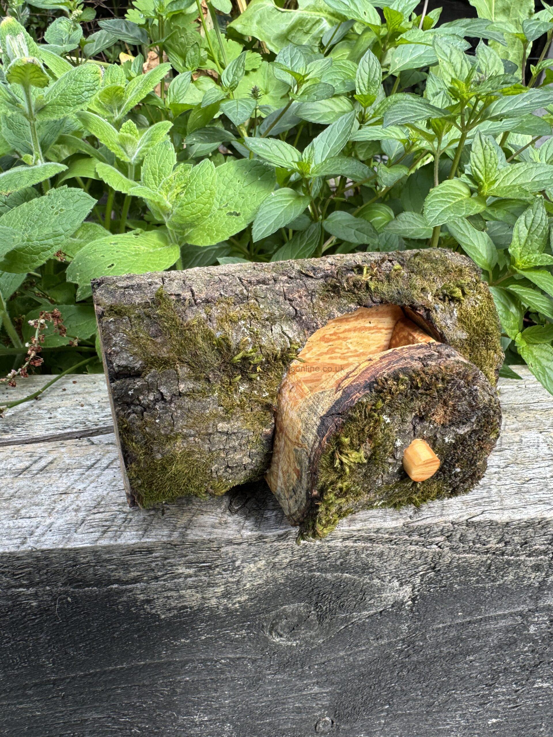 hand made on the bandsaw from tree branches from various sources
some of the branches are from sycamore trees which fell in roundhay park leeds in one of the storms
finely sanded and finished with burnishing oil linseed oil or tung oil