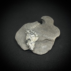 Large Shell Pendant on a Sterling Silver Chain