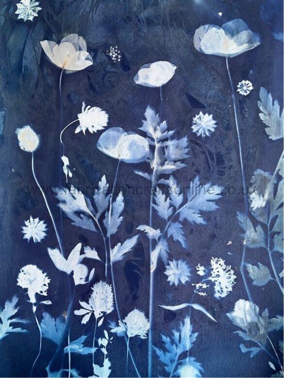 an original cyanotype work presented on a blank greeting card