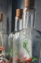 Old Bottle Terrarium