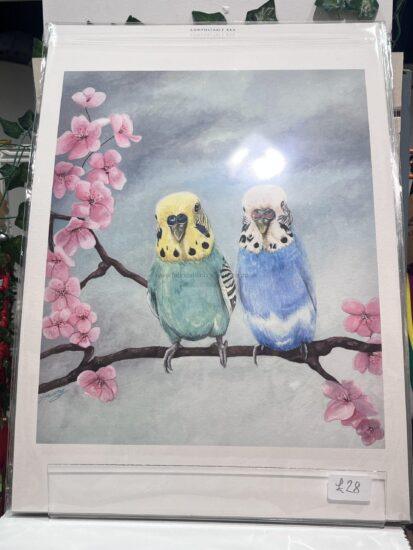 jam a art print joanne murphy
