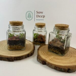 Tiny Terrarium