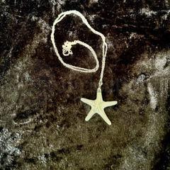 Starfish Pendant on a Sterling Silver Chain