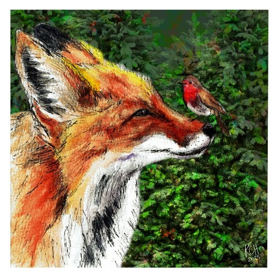 fox and robin a christmas card a large foxy card with a beautiful gloss finish 