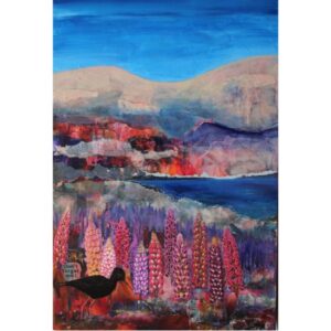 The Mackenzie Country