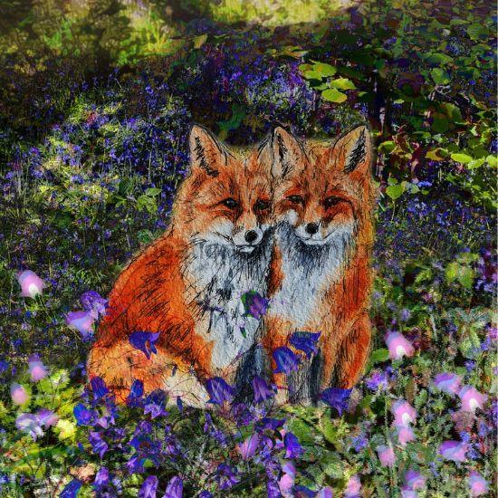 alttag small framed print a sizw fox cards a big and glossy cards in five different foxy designs