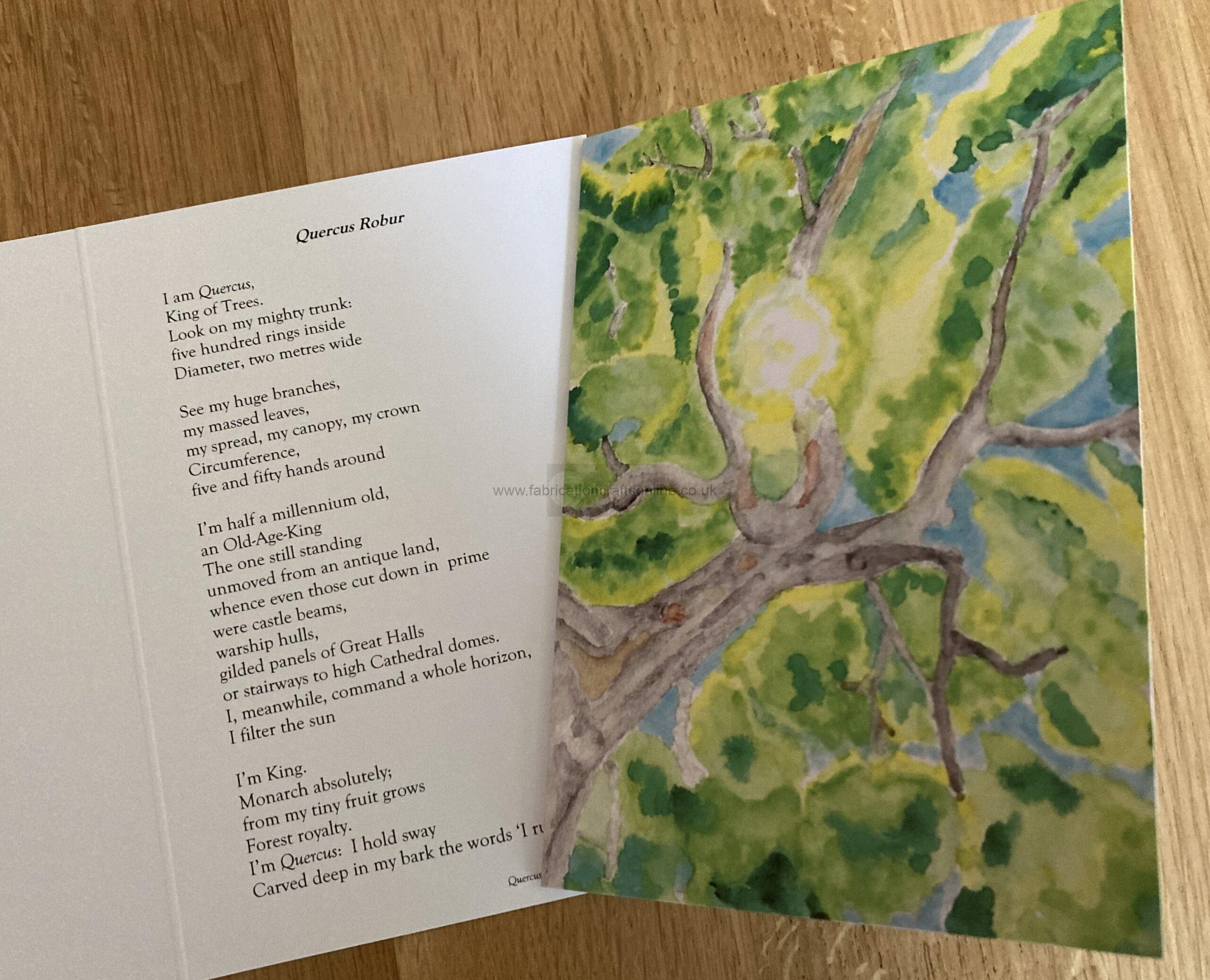 Poetry Art Greeting Cards individual greetings cards from the range if trees could tell illustrated from vibrant watercolour paintings with poems voiced by the trees themselves a treat for nature lovers bookworms and artists or for anyone who would like something unusual and beautiful each card is individually cellophane wrapped with coloured envelope discounts for bulk purchases also available