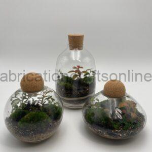 Atypical Terrarium