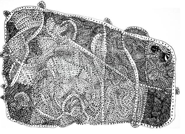 unison hand signed a print age
jude is a young artist who loves creating black and white drawings he enjoys turning simple ideas into fun and detailed pictures using just lines and patterns his artwork is inspired by imagination stories and the world around him jude hopes his prints make people smile and show how creative black and white art can be