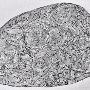 ‘Cirripedia’ hand signed A4 print, 2022 age 8