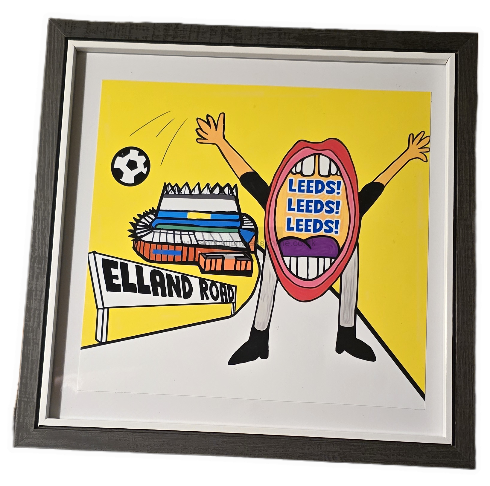 framed mouthy prints
art prints of various mouthy designs mixed media illustrations in fabulous and leeds themed
more prints from original acrylic portrait paintings
all framed in a black wooden frame with glass insert