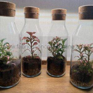 Bottle Green Terrarium