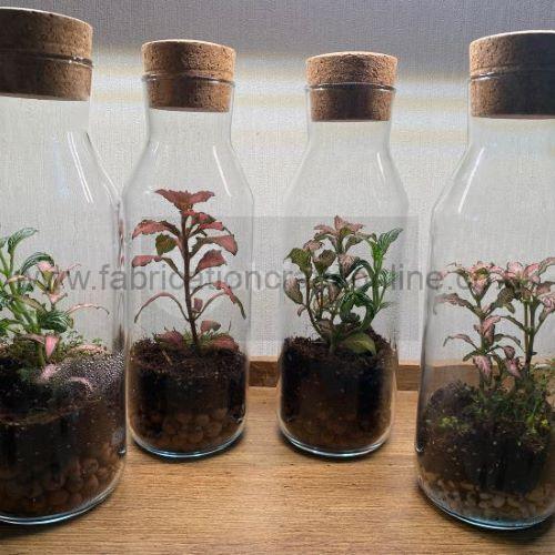 bottle gtreen terrarium
this product is click and collect only not for shipping
photo is for a general idea please visit shop to see the actual piece
creative <strong>terrarium</strong> bringing the beauty of the forest to your urban space
this miniature ecosystem is mostly self sustaining you can enjoy this bottled garden for years to come
<ul>
<li>place it in a bright room away from direct sun and heat sources</li>
<li>keep an eye on watering specially in summer months misting only if the soil is dry and there is no condensation on the walls this might be once in weeks or less</li>
<li>remove dead or rotting leaves</li>
<li>keep the glass clean</li>
</ul>
why terrariums
<ul>
<li>extremely easy to care for</li>
<li>not very fussy with lighting conditions</li>
<li>take very little space</li>
<li>very hard to kill unlike other houseplants </li>
<li>they dont die when you go on holiday</li>
<li>why they look absolutely gorgeous </li>
</ul>
they make the perfect gift for any occasion whether its a birthday anniversary or just to show your love
go on and make someones day with a very special and unique gift
or why not just treat yourself
