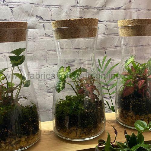 carafe green terrarium
this product is click and collect only not for shipping
creative <strong>terrarium</strong> bringing the beauty of the forest to your urban space
this miniature ecosystem is mostly self sustaining you can enjoy this bottled garden for years to come
<ul>
<li>place it in a bright room away from direct sun and heat sources</li>
<li>keep an eye on watering specially in summer months misting only if the soil is dry and there is no condensation on the walls this might be once in weeks or less</li>
<li>remove dead or rotting leaves</li>
<li>keep the glass clean</li>
</ul>
why terrariums
<ul>
<li>extremely easy to care for</li>
<li>not very fussy with lighting conditions</li>
<li>take very little space</li>
<li>very hard to kill unlike other houseplants </li>
<li>they dont die when you go on holiday</li>
<li>why they look absolutely gorgeous </li>
</ul>
they make the perfect gift for any occasion whether its a birthday anniversary or just to show your love
go on and make someones day with a very special and unique gift
or why not just treat yourself