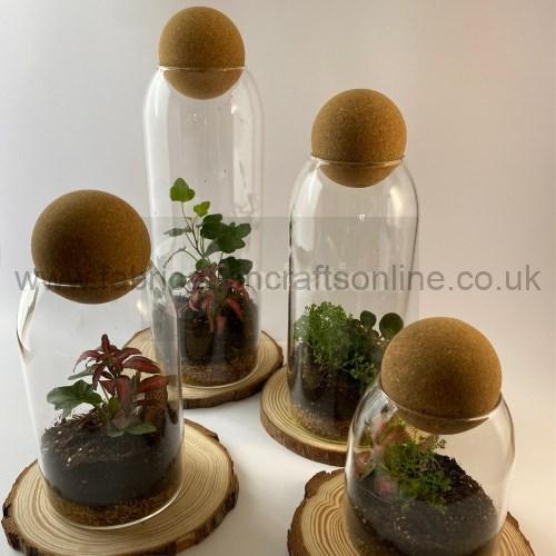 cork ball terrarium
this product is click and collect only not for shipping
photo is for a general idea please visit shop to see the actual piece
creative <strong>terrarium</strong> bringing the beauty of the forest to your urban space
this miniature ecosystem is mostly self sustaining you can enjoy this bottled garden for years to come
<ul>
<li>place it in a bright room away from direct sun and heat sources</li>
<li>keep an eye on watering specially in summer months misting only if the soil is dry and there is no condensation on the walls this might be once in weeks or less</li>
<li>remove dead or rotting leaves</li>
<li>keep the glass clean</li>
</ul>
why terrariums
<ul>
<li>extremely easy to care for</li>
<li>not very fussy with lighting conditions</li>
<li>take very little space</li>
<li>very hard to kill unlike other houseplants </li>
<li>they dont die when you go on holiday</li>
<li>why they look absolutely gorgeous </li>
</ul>
they make the perfect gift for any occasion whether its a birthday anniversary or just to show your love
go on and make someones day with a very special and unique gift
or why not just treat yourself