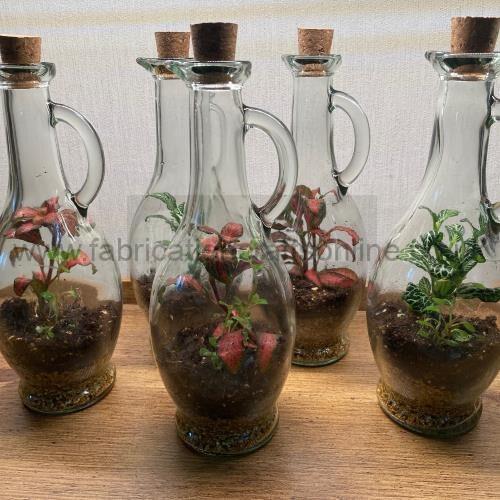 cruet green terrarium
not for shipping
creative <strong>terrarium</strong> bringing the beauty of the forest to your urban space
this miniature ecosystem is mostly self sustaining you can enjoy this bottled garden for years to come
<ul>
<li>place it in a bright room away from direct sun and heat sources</li>
<li>keep an eye on watering specially in summer months misting only if the soil is dry and there is no condensation on the walls this might be once in weeks or less</li>
<li>remove dead or rotting leaves</li>
<li>keep the glass clean</li>
</ul>
why terrariums
<ul>
<li>extremely easy to care for</li>
<li>not very fussy with lighting conditions</li>
<li>take very little space</li>
<li>very hard to kill unlike other houseplants </li>
<li>they dont die when you go on holiday</li>
<li>why they look absolutely gorgeous </li>
</ul>
they make the perfect gift for any occasion whether its a birthday anniversary or just to show your love
go on and make someones day with a very special and unique gift
or why not just treat yourself