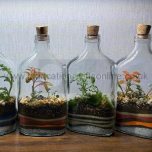 Flask Terrarium