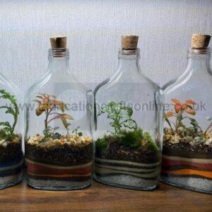 Flask Terrarium