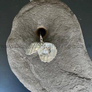 Shell Necklace with Hidden Pearl