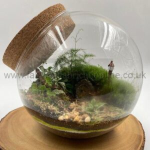 Hobbits Garden Terrarium