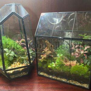 Geo Greenhouse Terrarium