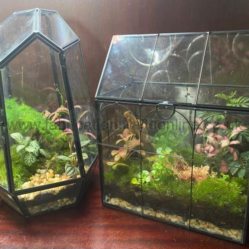 geo greenhouse terrarium
this product is click and collect only not for shipping
picture is for a general idea of the line please visit shop to see the ones available
creative <strong>terrarium</strong> bringing the beauty of the forest to your urban space
this miniature ecosystem is mostly self sustaining you can enjoy this bottled garden for years to come
<ul>
<li>place it in a bright room away from direct sun and heat sources</li>
<li>keep an eye on watering specially in summer months misting only if the soil is dry and there is no condensation on the walls this might be once in weeks or less</li>
<li>remove dead or rotting leaves</li>
<li>keep the glass clean</li>
</ul>
why terrariums
<ul>
<li>extremely easy to care for</li>
<li>not very fussy with lighting conditions</li>
<li>take very little space</li>
<li>very hard to kill unlike other houseplants </li>
<li>they dont die when you go on holiday</li>
<li>why they look absolutely gorgeous </li>
</ul>
they make the perfect gift for any occasion whether its a birthday anniversary or just to show your love
go on and make someones day with a very special and unique gift
or why not just treat yourself