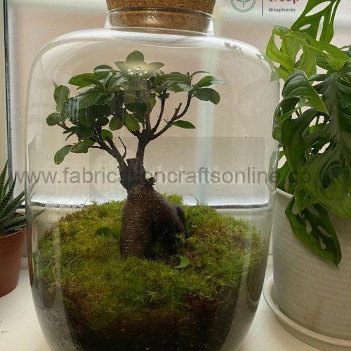 keg hobbits garden terrarium
not for shipping click and collect available
creative <strong>terrarium</strong> bringing the beauty of the forest to your urban space
this miniature ecosystem is mostly self sustaining you can enjoy this bottled garden for years to come
<ul>
<li>place it in a bright room away from direct sun and heat sources</li>
<li>keep an eye on watering specially in summer months misting only if the soil is dry and there is no condensation on the walls this might be once in weeks or less</li>
<li>remove dead or rotting leaves</li>
<li>keep the glass clean</li>
</ul>
why terrariums
<ul>
<li>extremely easy to care for</li>
<li>not very fussy with lighting conditions</li>
<li>take very little space</li>
<li>very hard to kill unlike other houseplants </li>
<li>they dont die when you go on holiday</li>
<li>why they look absolutely gorgeous </li>
</ul>
they make the perfect gift for any occasion whether its a birthday anniversary or just to show your love
go on and make someones day with a very special and unique gift
or why not just treat yourself