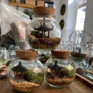 Pavilion Terrarium