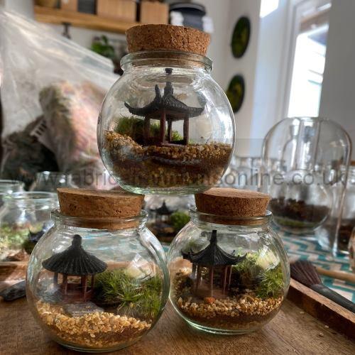 pavilion terrarium
this product is click and collect only not for shipping
photo is for a general idea please visit shop to see the actual piece
creative <strong>terrarium</strong> bringing the beauty of the forest to your urban space
this miniature ecosystem is mostly self sustaining you can enjoy this bottled garden for years to come
<ul>
<li>place it in a bright room away from direct sun and heat sources</li>
<li>keep an eye on watering specially in summer months misting only if the soil is dry and there is no condensation on the walls this might be once in weeks or less</li>
<li>remove dead or rotting leaves</li>
<li>keep the glass clean</li>
</ul>
why terrariums
<ul>
<li>extremely easy to care for</li>
<li>not very fussy with lighting conditions</li>
<li>take very little space</li>
<li>very hard to kill unlike other houseplants </li>
<li>they dont die when you go on holiday</li>
<li>why they look absolutely gorgeous </li>
</ul>
they make the perfect gift for any occasion whether its a birthday anniversary or just to show your love
go on and make someones day with a very special and unique gift
or why not just treat yourself