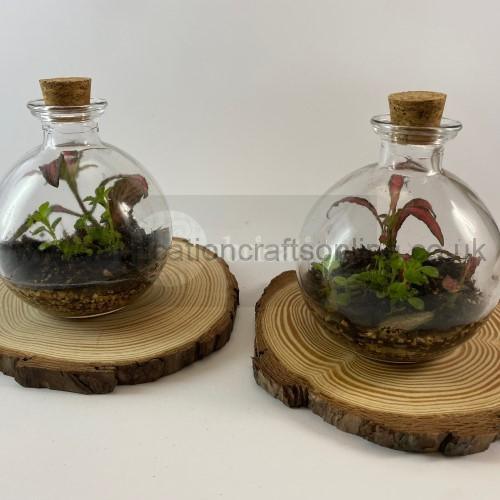 potion love potion terrarium
not for shipping click and collect
creative <strong>terrarium</strong> bringing the beauty of the forest to your urban space
this miniature ecosystem is mostly self sustaining you can enjoy this bottled garden for years to come
<ul>
<li>place it in a bright room away from direct sun and heat sources</li>
<li>keep an eye on watering specially in summer months misting only if the soil is dry and there is no condensation on the walls this might be once in weeks or less</li>
<li>remove dead or rotting leaves</li>
<li>keep the glass clean</li>
</ul>
why terrariums
<ul>
<li>extremely easy to care for</li>
<li>not very fussy with lighting conditions</li>
<li>take very little space</li>
<li>very hard to kill unlike other houseplants </li>
<li>they dont die when you go on holiday</li>
<li>why they look absolutely gorgeous </li>
</ul>
they make the perfect gift for any occasion whether its a birthday anniversary or just to show your love
go on and make someones day with a very special and unique gift
or why not just treat yourself