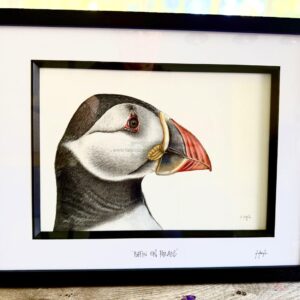 Puffin On Parade