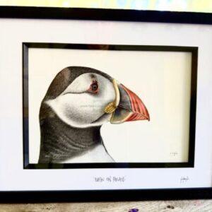 Puffin On Parade