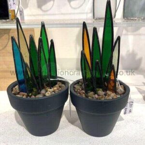small-spiky-stained-glass-succulent