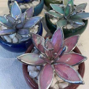 Stained-glass-lotus