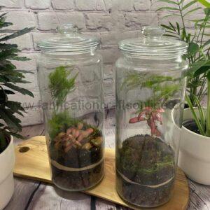 Tall Terrarium