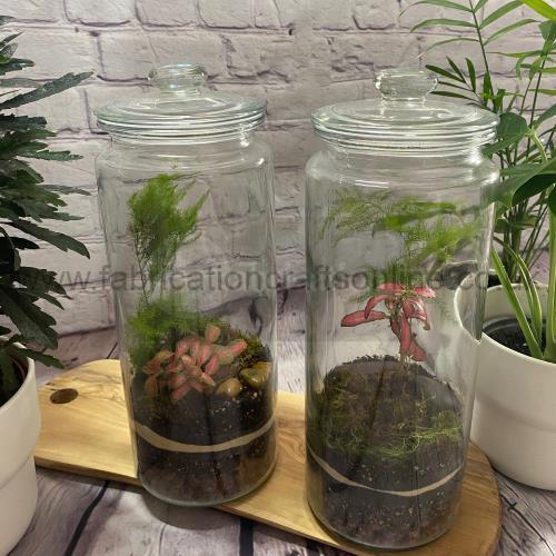 vard tall terrarium
this product is click and collect only not for shipping
creative <strong>terrarium</strong> bringing the beauty of the forest to your urban space
this miniature ecosystem is mostly self sustaining you can enjoy this bottled garden for years to come
<ul>
<li>place it in a bright room away from direct sun and heat sources</li>
<li>keep an eye on watering specially in summer months misting only if the soil is dry and there is no condensation on the walls this might be once in weeks or less</li>
<li>remove dead or rotting leaves</li>
<li>keep the glass clean</li>
</ul>
why terrariums
<ul>
<li>extremely easy to care for</li>
<li>not very fussy with lighting conditions</li>
<li>take very little space</li>
<li>very hard to kill unlike other houseplants </li>
<li>they dont die when you go on holiday</li>
<li>why they look absolutely gorgeous </li>
</ul>
they make the perfect gift for any occasion whether its a birthday anniversary or just to show your love
go on and make someones day with a very special and unique gift
or why not just treat yourself