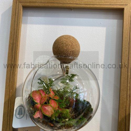 wall ter this product is click and collect only not for shipping
photo is for a general idea please visit shop to see the actual piece
creative <strong>terrarium</strong> bringing the beauty of the forest to your urban space
this miniature ecosystem is mostly self sustaining you can enjoy this bottled garden for years to come
<ul>
<li>place it in a bright room away from direct sun and heat sources</li>
<li>keep an eye on watering specially in summer months misting only if the soil is dry and there is no condensation on the walls this might be once in weeks or less</li>
<li>remove dead or rotting leaves</li>
<li>keep the glass clean</li>
</ul>
why terrariums
<ul>
<li>extremely easy to care for</li>
<li>not very fussy with lighting conditions</li>
<li>take very little space</li>
<li>very hard to kill unlike other houseplants </li>
<li>they dont die when you go on holiday</li>
<li>why they look absolutely gorgeous </li>
</ul>
they make the perfect gift for any occasion whether its a birthday anniversary or just to show your love
go on and make someones day with a very special and unique gift
or why not just treat yourself