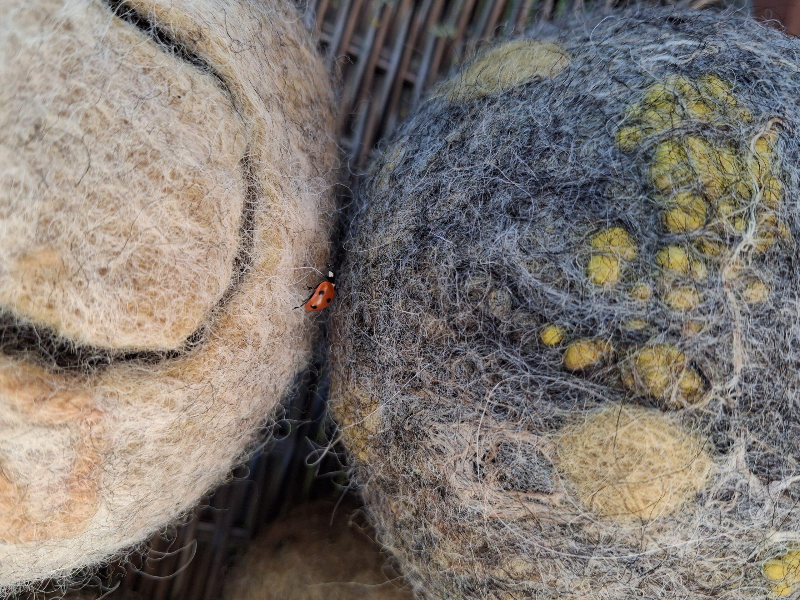 <blockquote>baby jumperscardys</blockquote> 