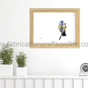 "A Fine Balance" -Blue Tit