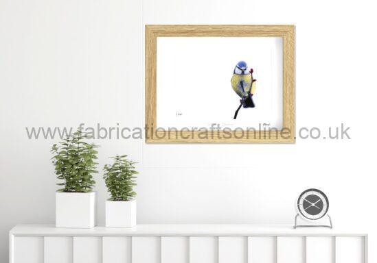 "A Fine Balance" -Blue Tit