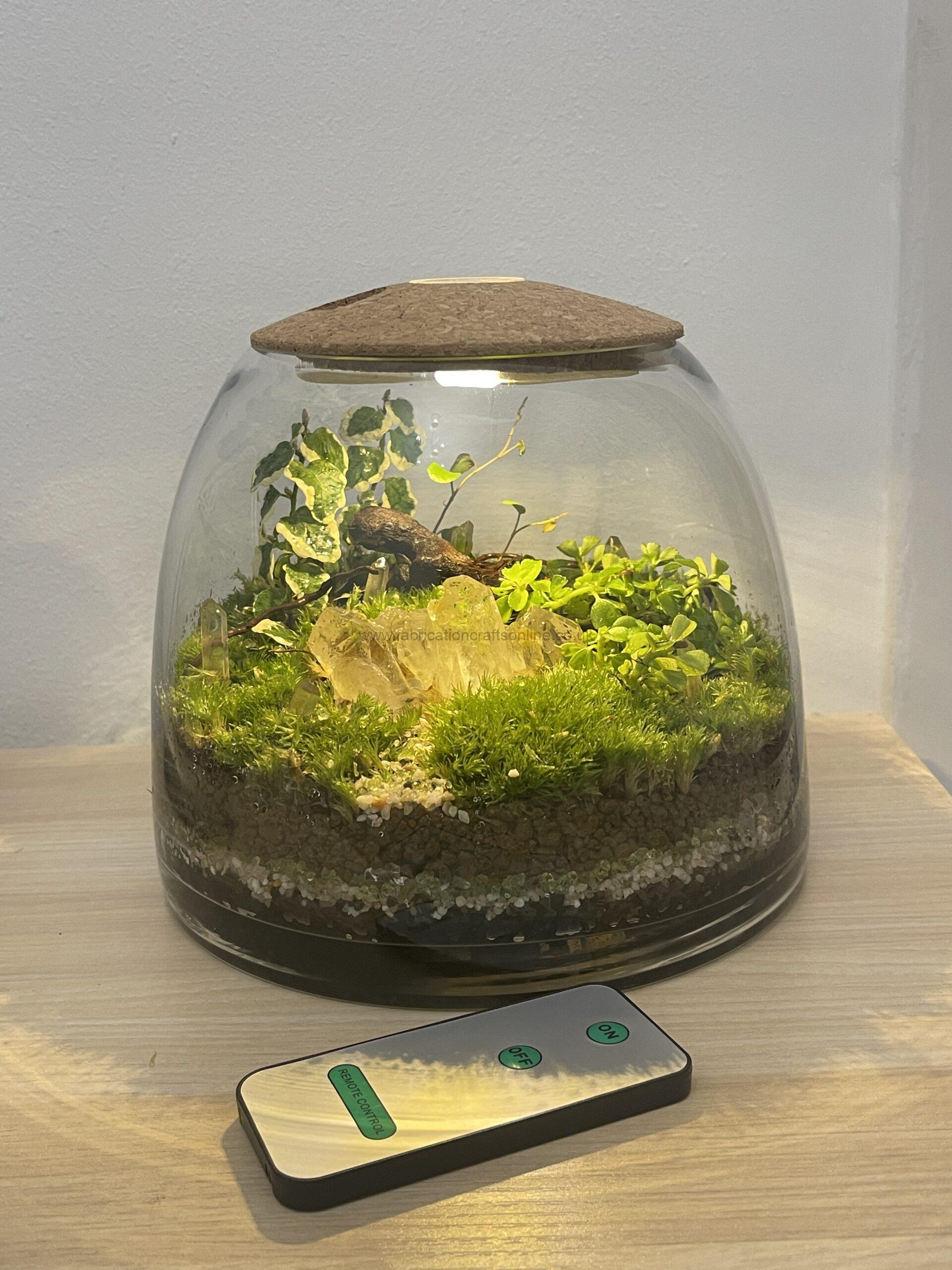 bring the calming energy of nature into your home with this exquisite crystal garden each terrarium combines natural crystals with living moss to create a miniature ecosystem that radiates balance and harmony the crystals are believed to amplify positive energy while the moss adds vitality and a soothing touch of greenery together they create a serene focal point that nurtures your space uplifting the mind and inviting natural energy into your everyday life