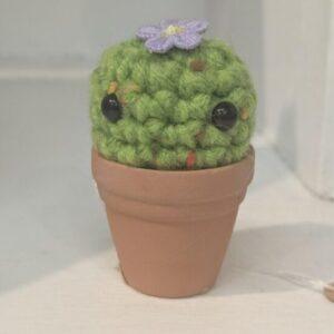 NEL Crochet Cactus