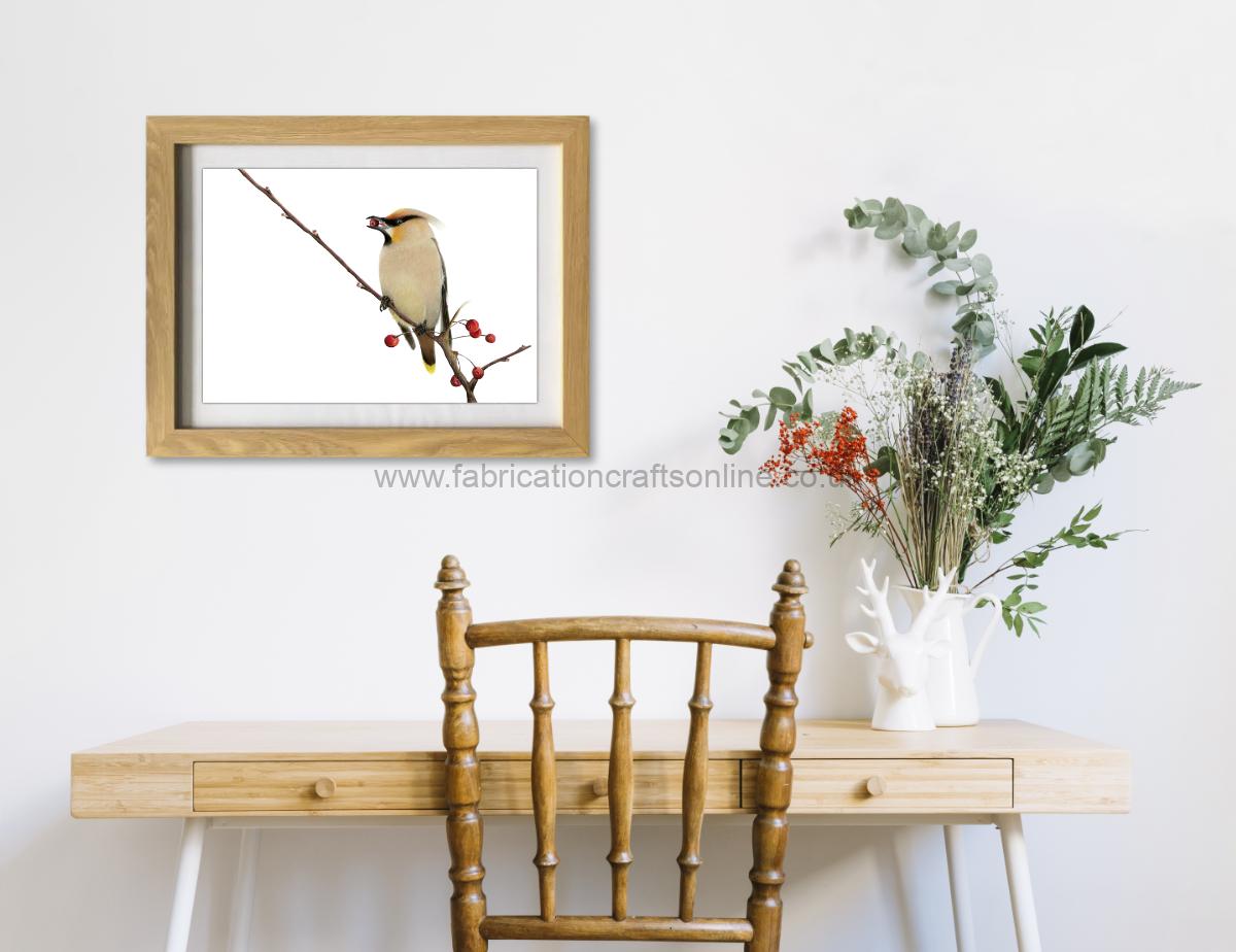 detailed study of one of our winter visitors the waxwing bombycilla garrulus gorging on rowan berries
drawn with faber castell polychromos pencils
the x is printed on gorgeous fine ridge nettuno paper with a x textured white mount
the a size is printed on gsm uncoated stock supplied with a hand signed mount and is strictly limited to individually signed and numbered copies
the original drawing is supplied framed in an oak effect frame and comes with a certificate of authenticity
all prints are individually signed and are supplied in a protective cellophane sleeve