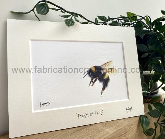 honey im home detailed study of one of our most loved creatures the humble bee
drawn with faber castell polychromos pencils and printed on gsm uncoated stock at a
limited to signed and individually numbered copies
the x is printed on gorgeous fine ridge nettuno paper with a x textured white mount and is also available in an oak effect frame
