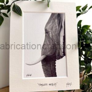 Framed black-and-white elephant portrait with tusk, titled 'Timeless Majesty' on the mat, surrounded by green houseplants.