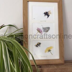x3ApertureFrameDJC